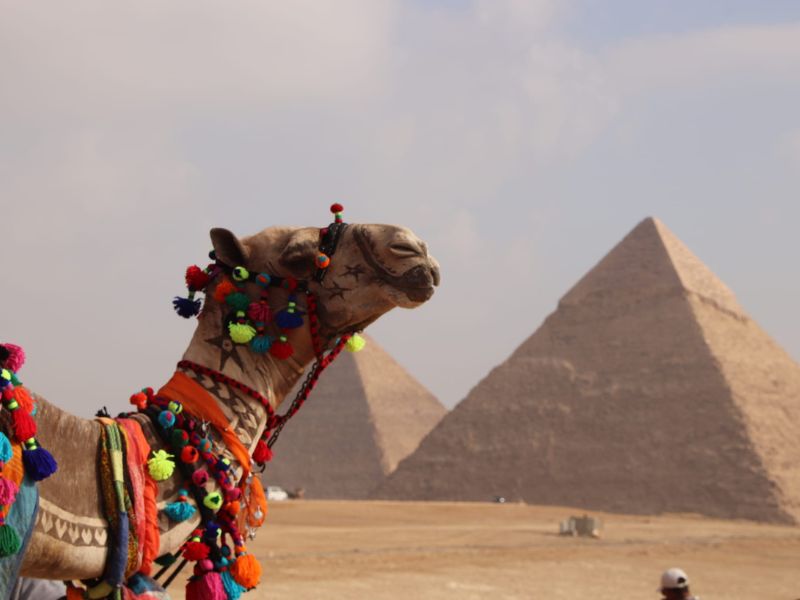 <p>Viaggio in Egitto</p>